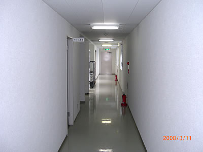 施工後　内部壁クロス張替状況